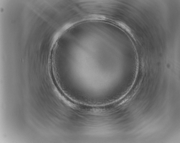 X0000071961379200607071442