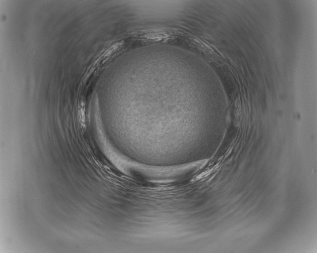 X0000071961394200607071441