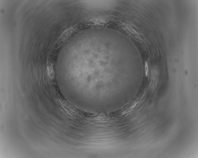 X0000071961395200607071441