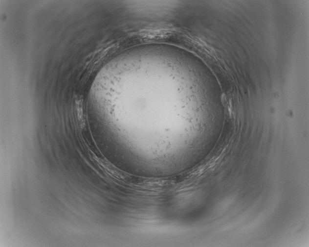 X0000071961396200607071441