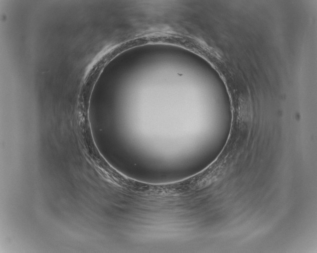 X0000071961400200607071441