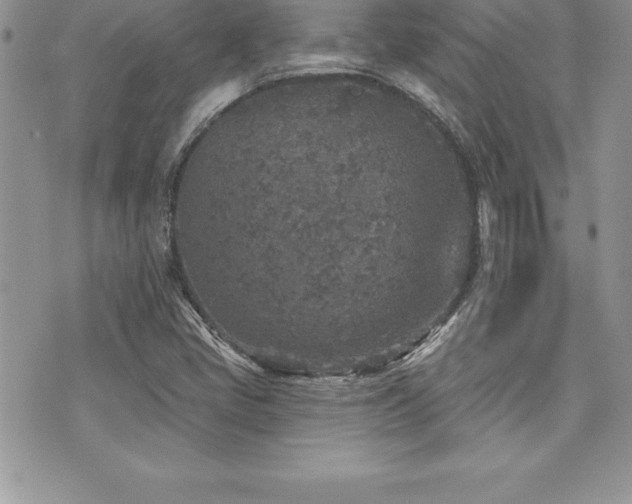 X0000071961405200607071441