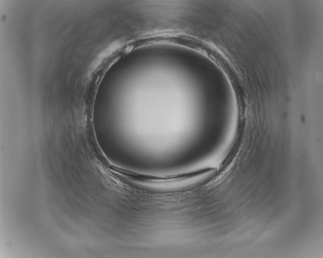 X0000071961406200607071441