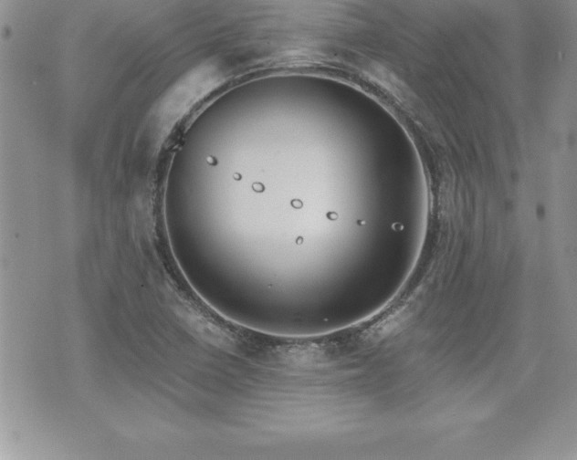 X0000071961410200607071441