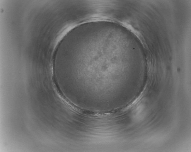 X0000071961415200607071441