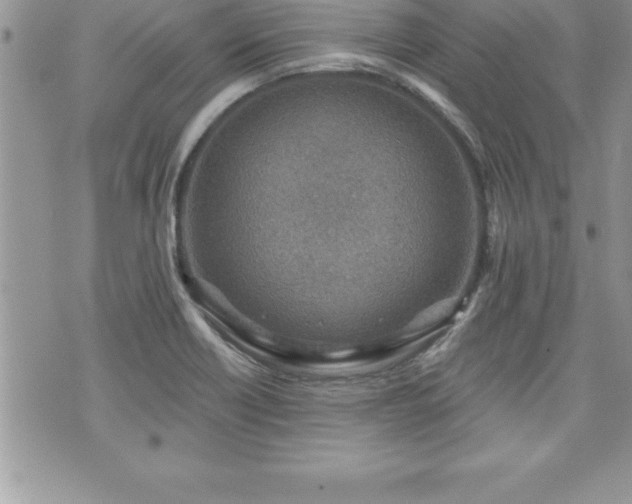 X0000071961418200607071441