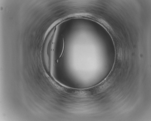 X0000071961420200607071441