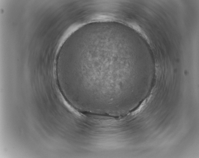 X0000071961421200607071441