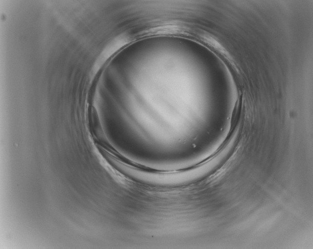 X0000071961426200607071441