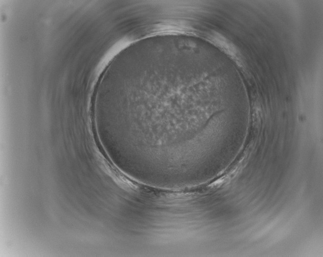 X0000071961427200607071441