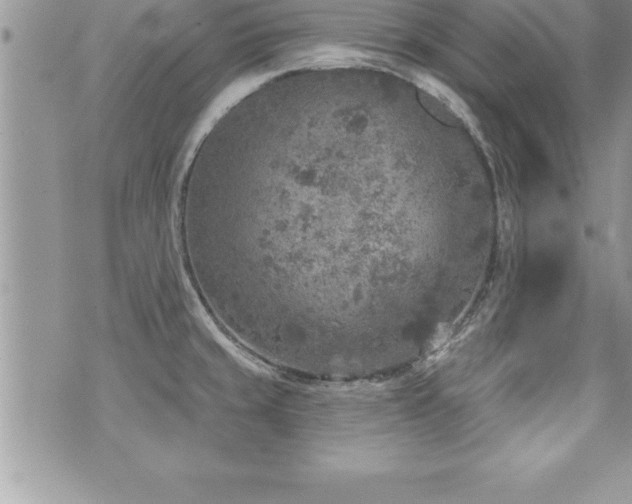 X0000071961429200607071441