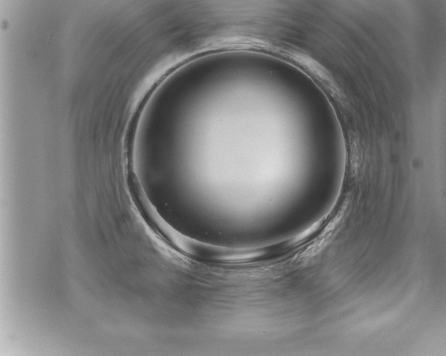 X0000071961430200607071441