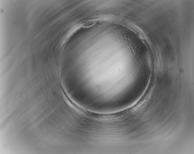 X0000071961433200607071441