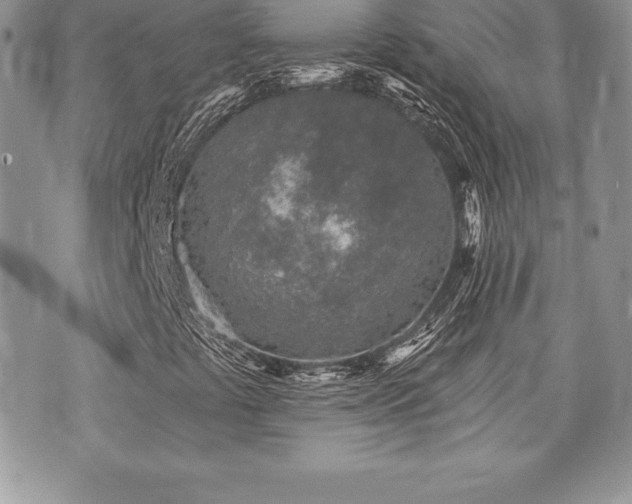 X0000071961441200607071441