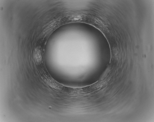 X0000071961442200607071441