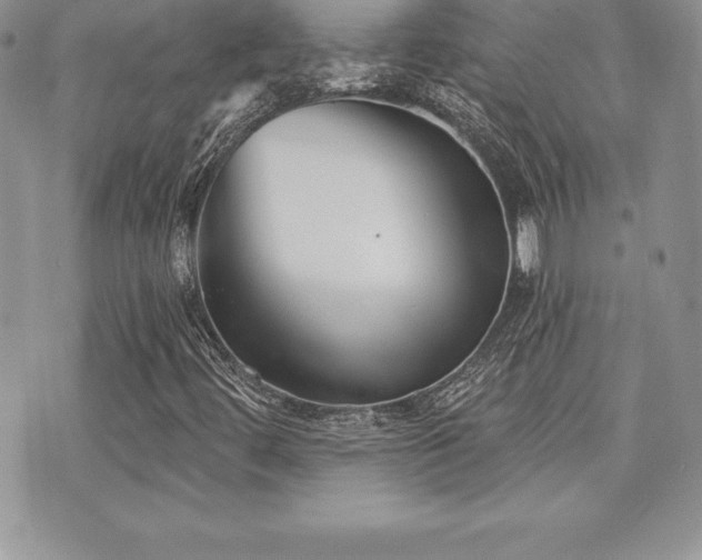 X0000071961444200607071441