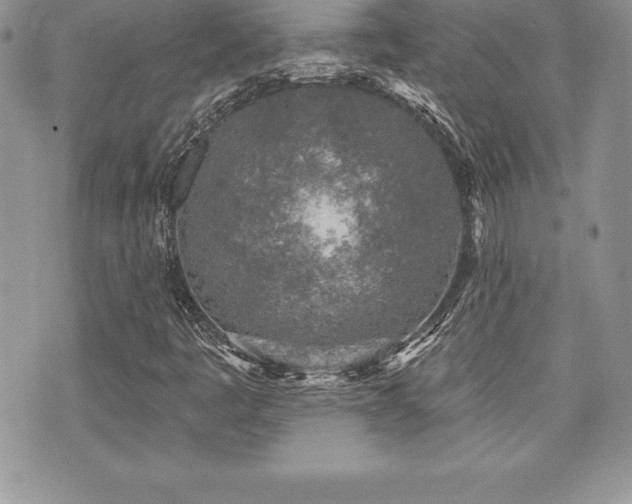 X0000071961445200607071441