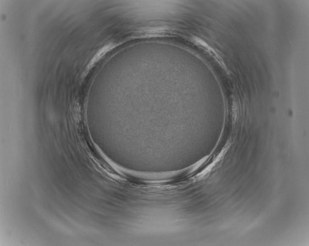 X0000071961449200607071441