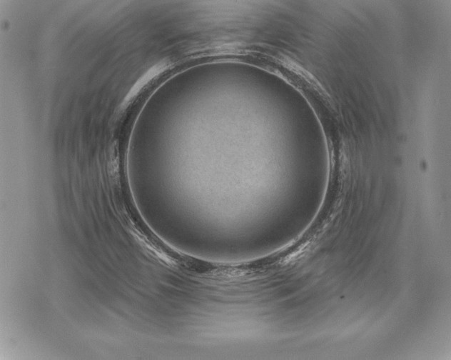 X0000071961450200607071441