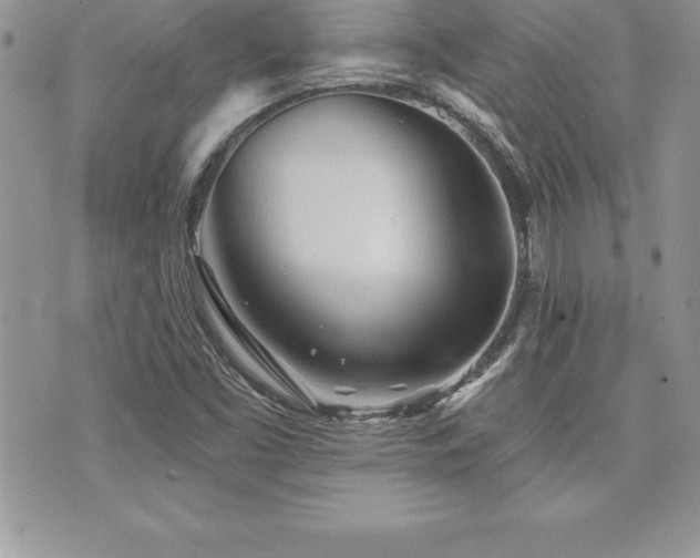 X0000071961453200607071441