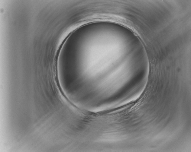 X0000071961531200607071440