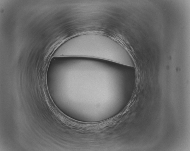 X0000071960001200607141446