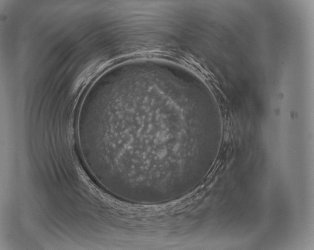 X0000071960002200607141446