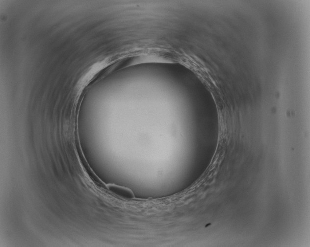 X0000071960003200607141446