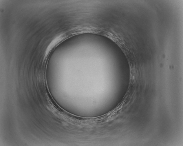 X0000071960004200607141446