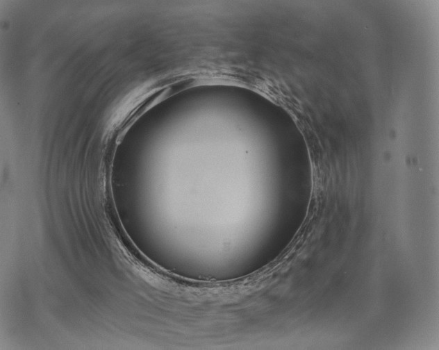 X0000071960005200607141446