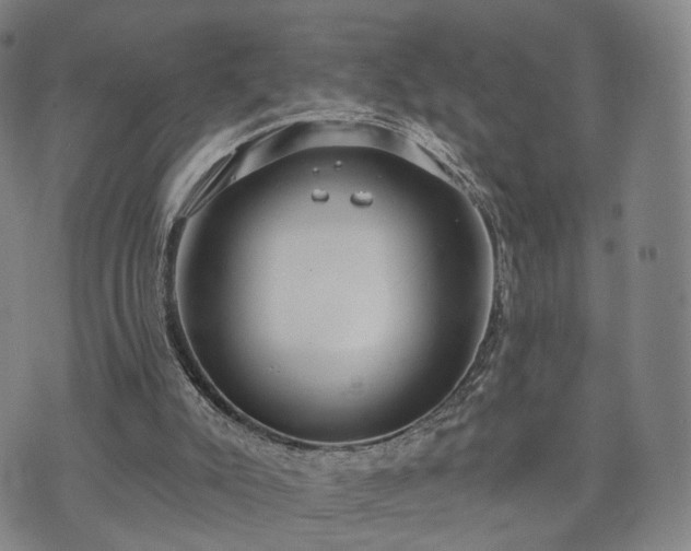 X0000071960007200607141446