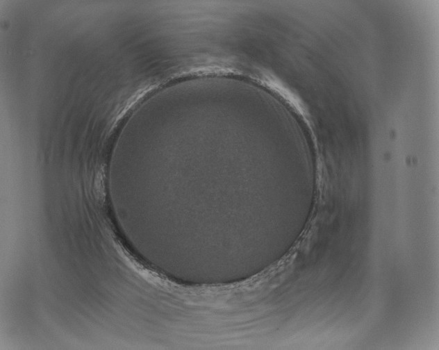 X0000071960009200607141446