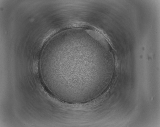 X0000071960010200607141446