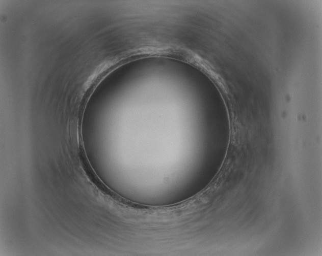 X0000071960011200607141446