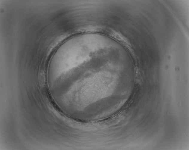 X0000071960012200607141446