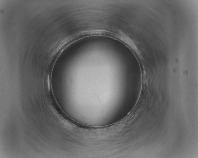 X0000071960013200607141446