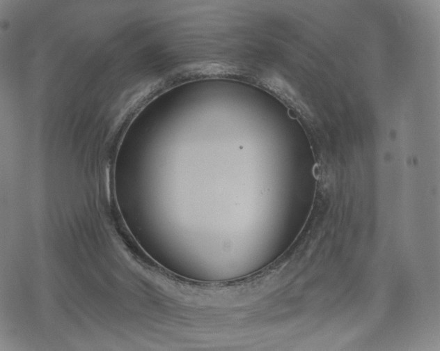 X0000071960014200607141446