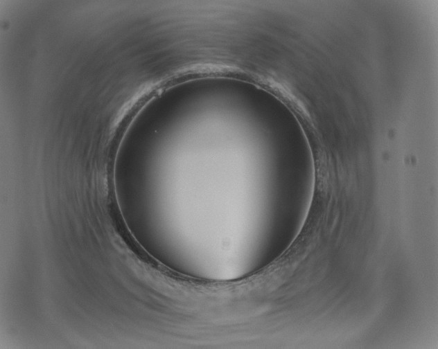 X0000071960015200607141446