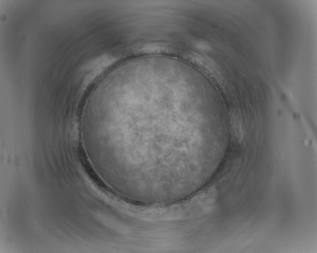 X0000071960016200607141446