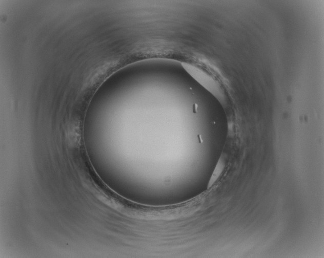 X0000071960017200607141446