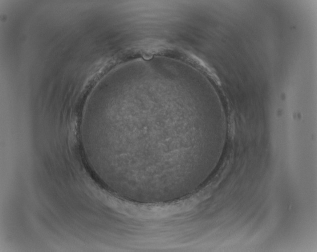 X0000071960018200607141446