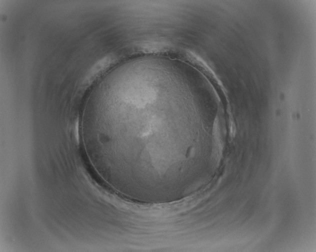 X0000071960019200607141446