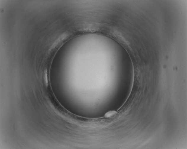 X0000071960020200607141446