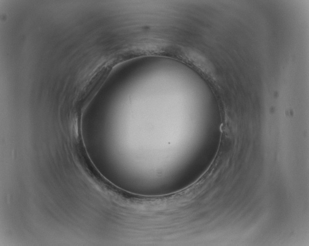 X0000071960021200607141446