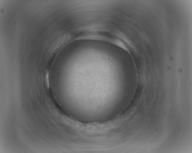 X0000071960022200607141446