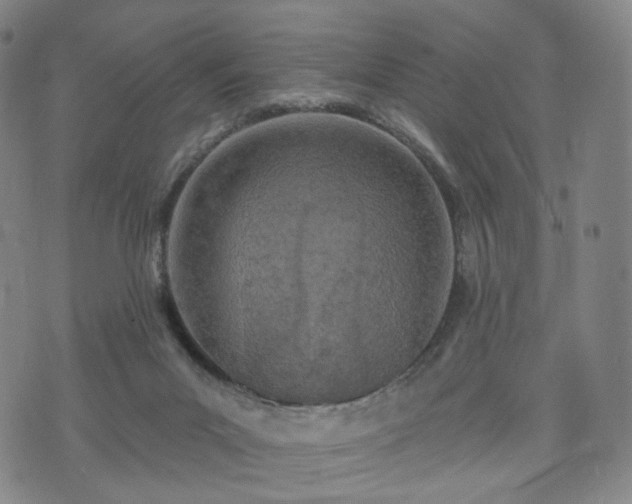 X0000071960023200607141446