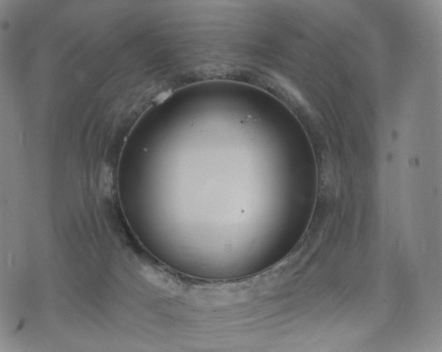 X0000071960025200607141446