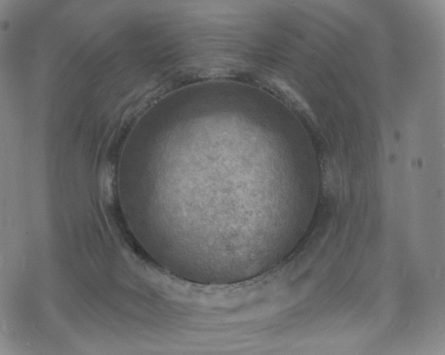 X0000071960026200607141446