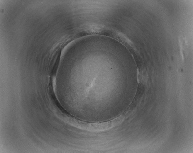 X0000071960027200607141446