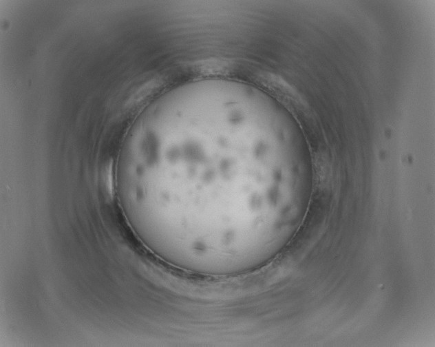 X0000071960028200607141446